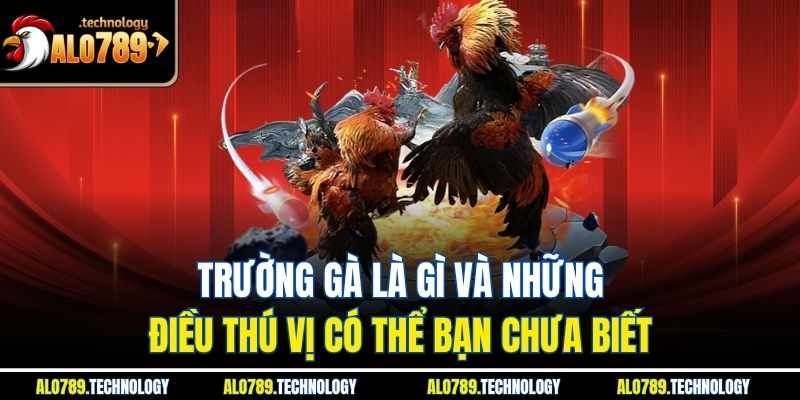 Trường Gà Là Gì Và Những Điều Thú Vị Có Thể Bạn Chưa Biết