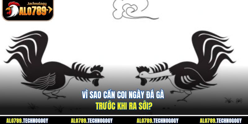 Dân chơi kiểm tra ngày tốt trước khi cho chiến kê ra sới