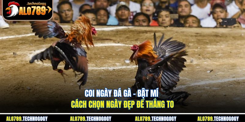 coi ngày đá gà
