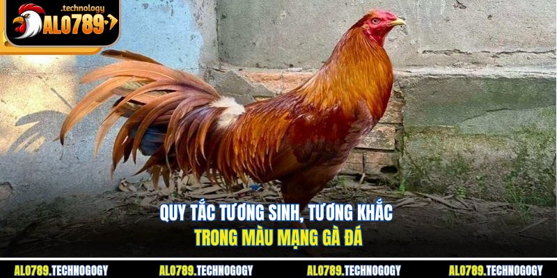 Mô phỏng quy luật tương sinh, tương khắc