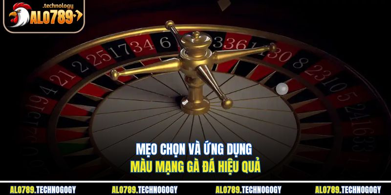 Chiến kê hợp màu mạng được chăm sóc kỹ trước khi ra sới