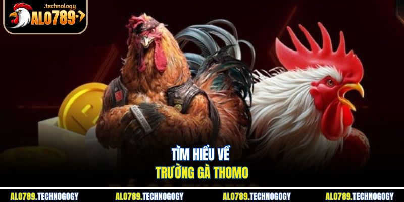 Không khí sôi động trong một trận đấu gà tại trường gà